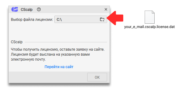 окно запуска терминала CScalp