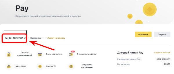 страница Binance Pay на сайте биржи Binance