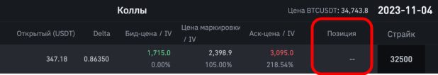 параметр “Позиция” опционов в веб-терминале биржи Binance