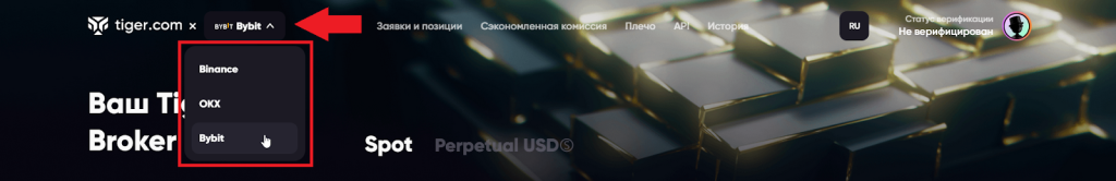 Как подключить CScalp, Tiger.Trade Broker