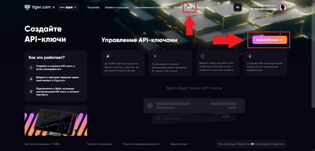 Как подключить CScalp, Tiger.Trade Broker