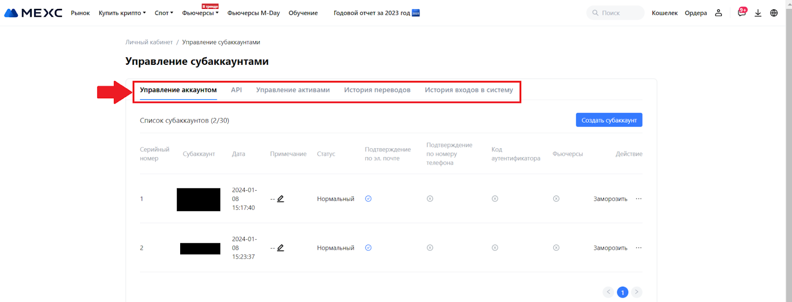 Страница «Управление субаккаунтами». Разделы «Управление аккаунтом», «API», «Управление активами», «История переводов», «История входов в систему»