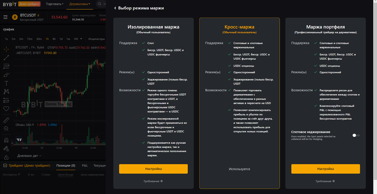 Веб-терминал для фьючерсной торговли Bybit в демо-режиме. Режим маржи