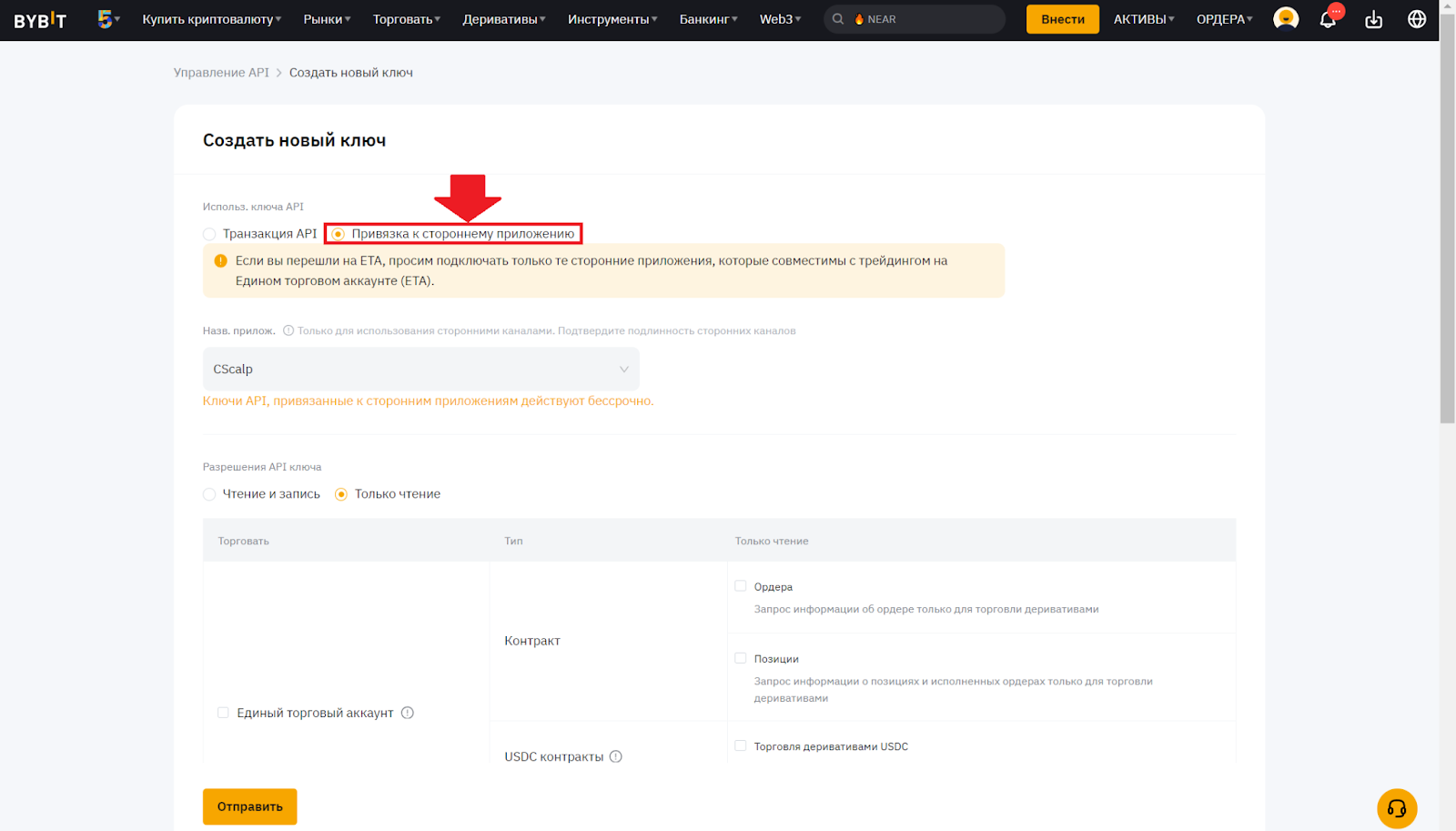 API Key на Bybit. Привязка к стороннему приложению. Ввод данных