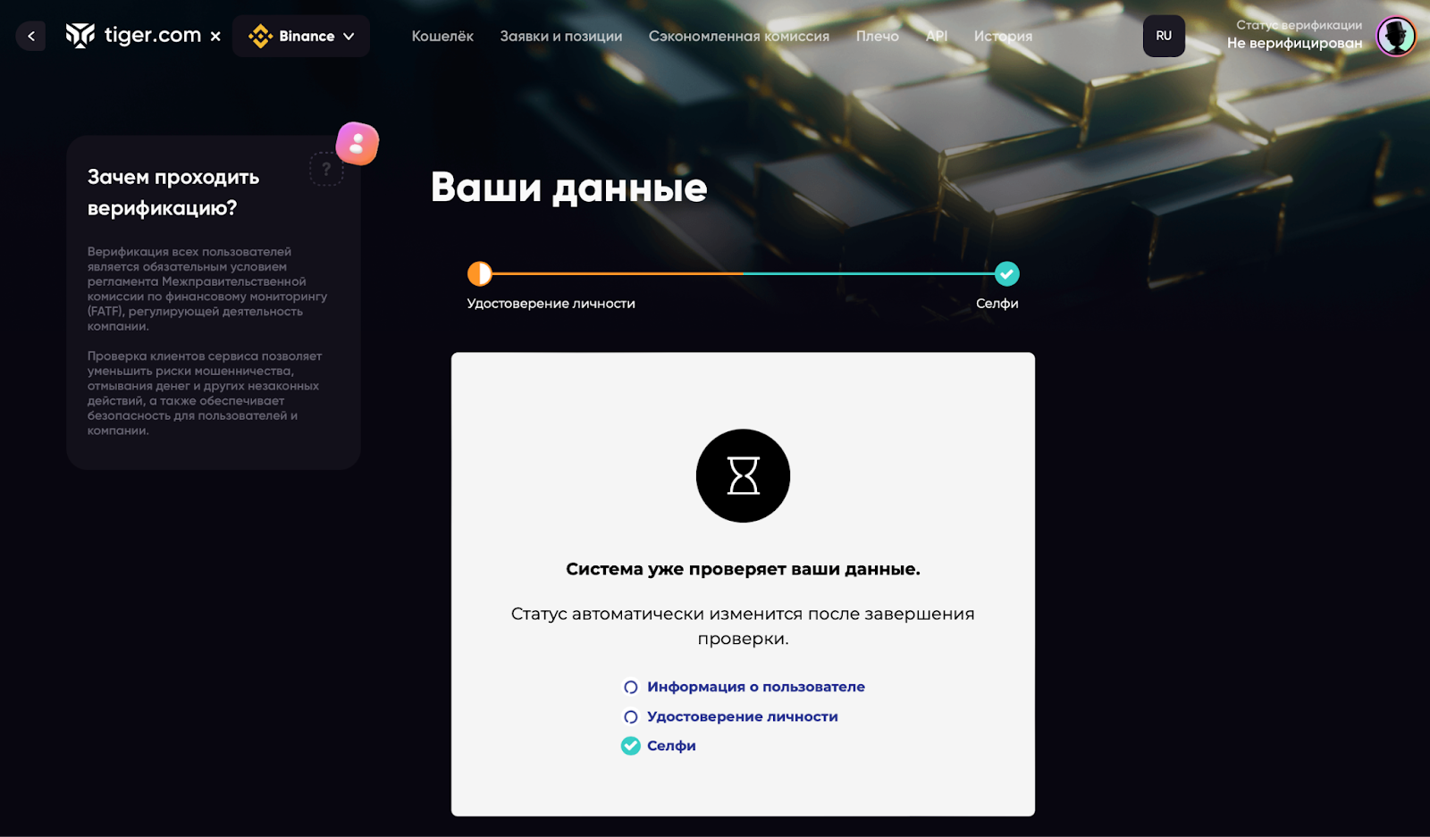 окно проверки заявки на верификацию в tiger.com broker