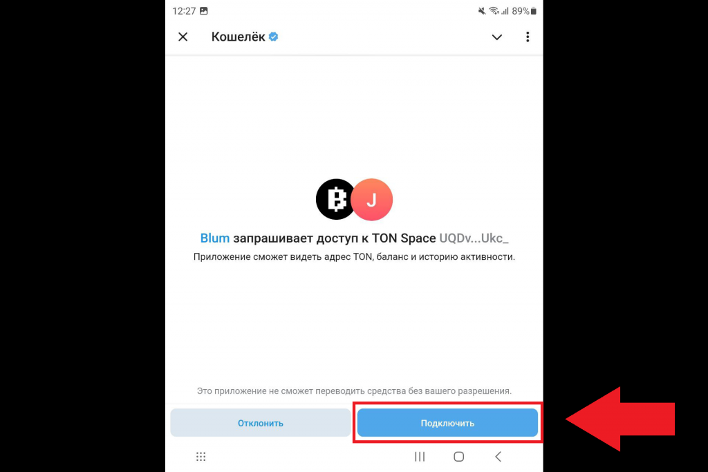 Подтверждение подключения кошелька к приложению Blum  