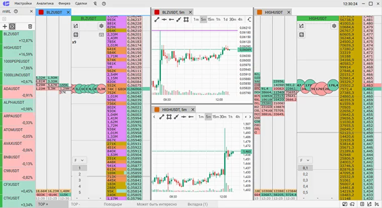 интерфейс торгового терминала CScalp