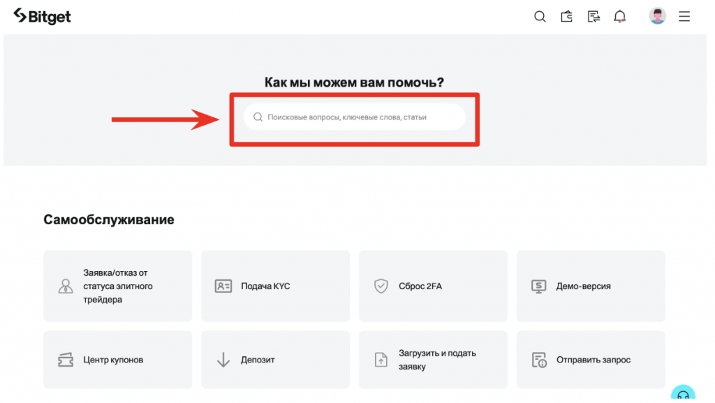 справка поиск