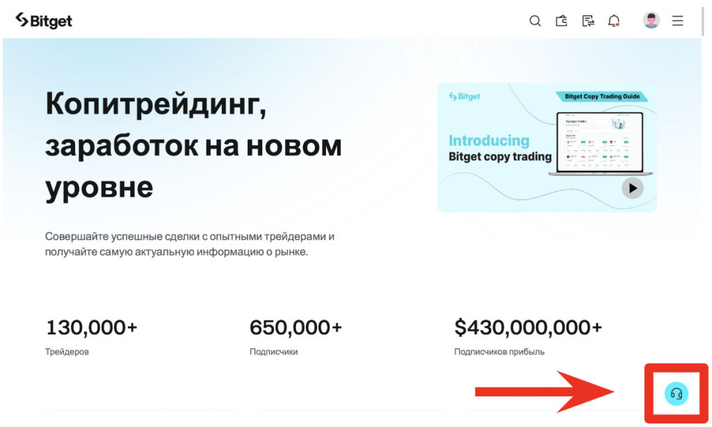битгет поддержка где найти