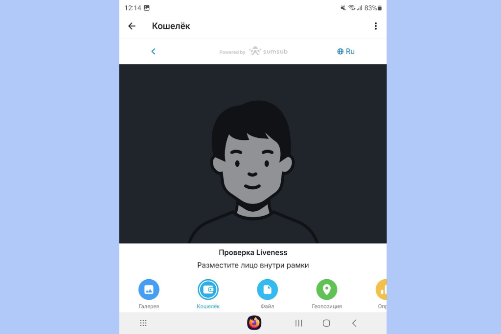 Как пройти KYC Плюс, Кошелек Телеграмм