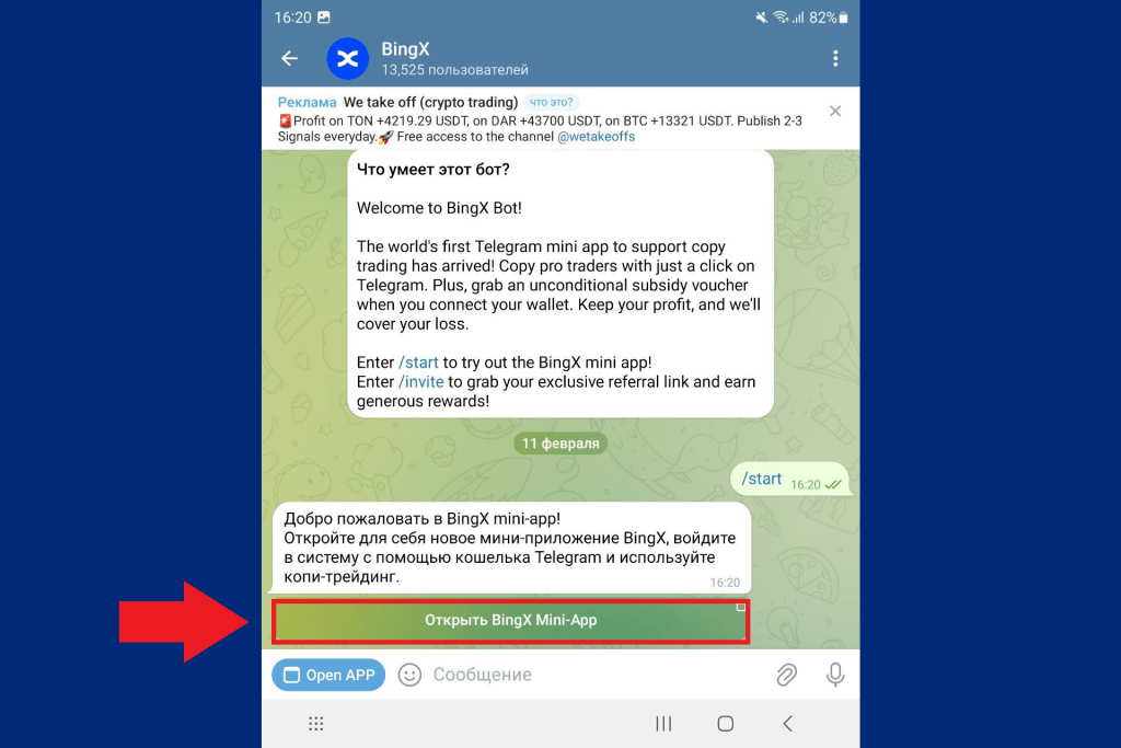 Переход в интерфейс бота BingX в Telegram